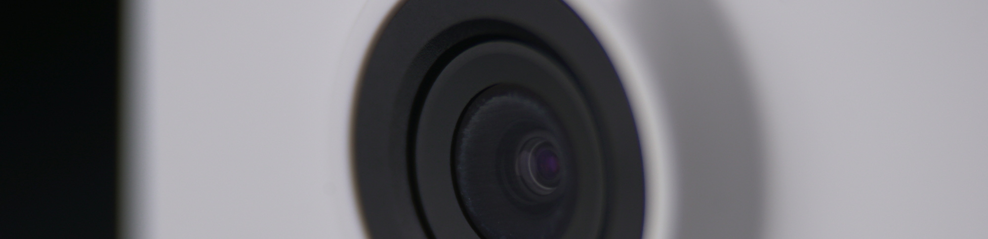 LiveViz monitored security camera